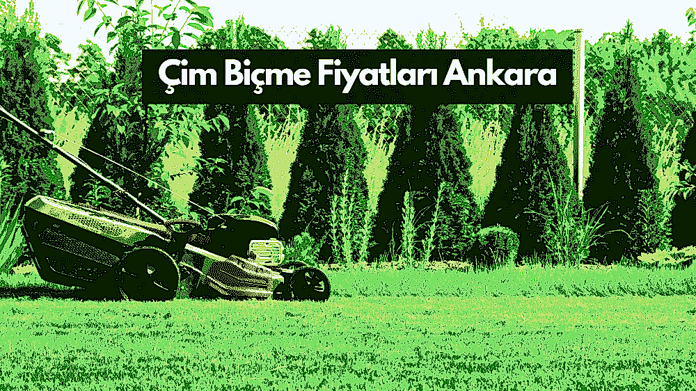 Ankara Çim Biçme Fiyatları: Metrekare başına 5 – 15 TL