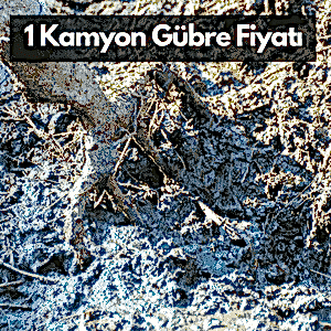 Ankara'da 1 Kamyon Hayvan Gübresi Fiyatı, 1.600 ₺ (NAKLİYE DAHİL FİYATIMIZ)