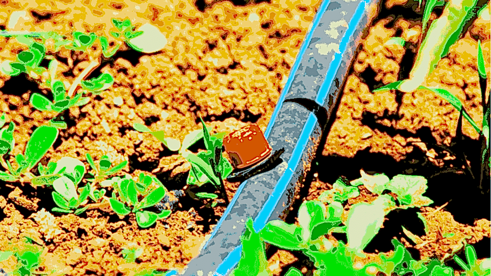 DAMLAMA Sulama Sistemi Kurulumu Maliyeti